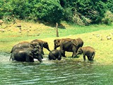 Wildlife Sactuary