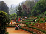 Ooty Botanical Garden